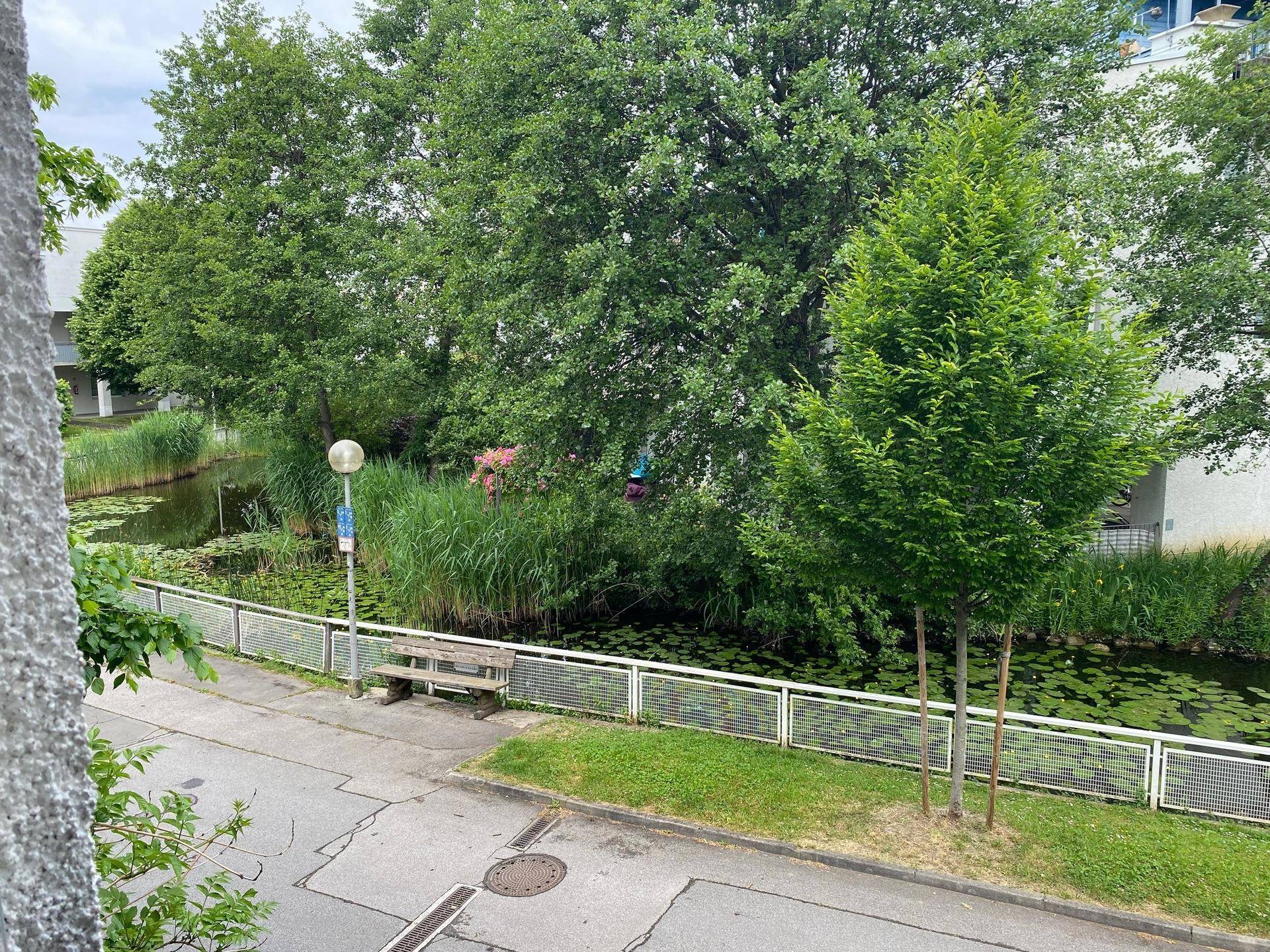Weitläufiger Blick auf einen Teich mit üppiger Vegetation und einer Sitzbank am Ufer.