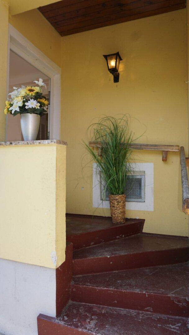 Eingangsbereich mit Treppe, gelber Fassade und dekorativen Pflanzen.