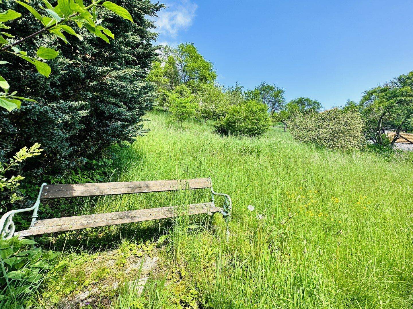 Eine alte Holzbank steht in einem hohen, grünen Grasfeld unter strahlend blauem Himmel, umgeben von Bäumen.