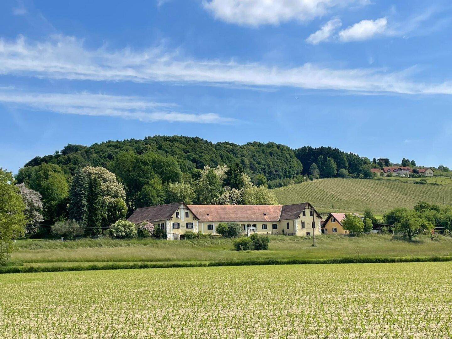 Traumhaftes Anwesen in herrlicher Aussichtslage – Ehemaliger Meierhof von 1901 - Ansicht 2