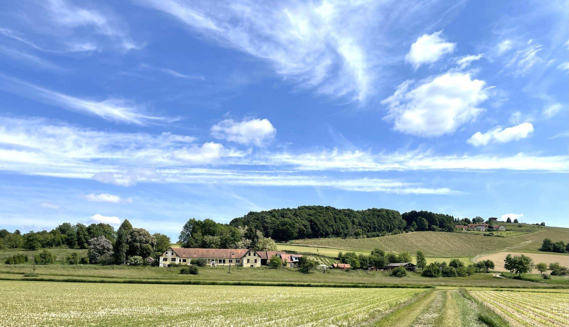Traumhaftes Anwesen in herrlicher Aussichtslage – Ehemaliger Meierhof von 1901 - Ansicht 5