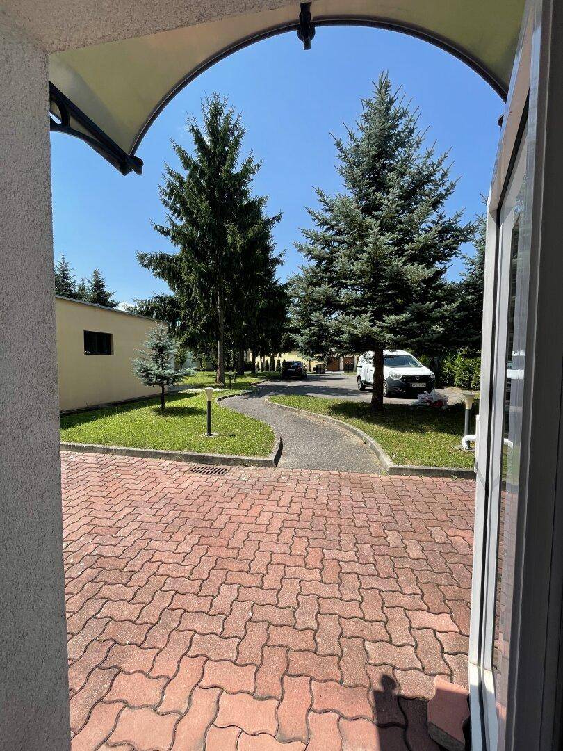 Blick vom Eingang auf eine gepflasterte Zufahrt, umgeben von Rasenflächen und hohen Bäumen.