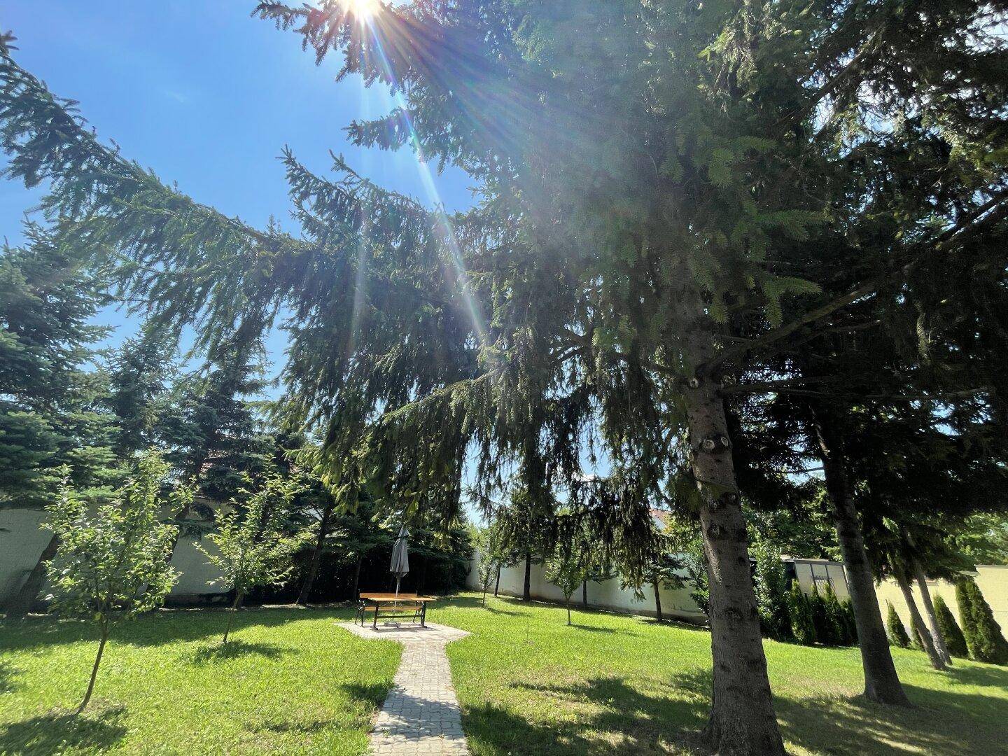Sonnige Gartenanlage mit hohen Bäumen, Rasenfläche und einem Sitzbereich im Hintergrund.