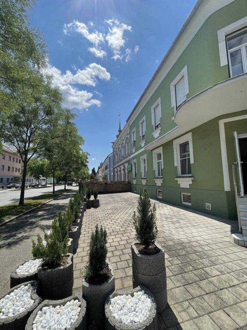 Historisches Gebäude mit grüner Fassade und gepflastertem Gehweg, gesäumt von Bäumen.