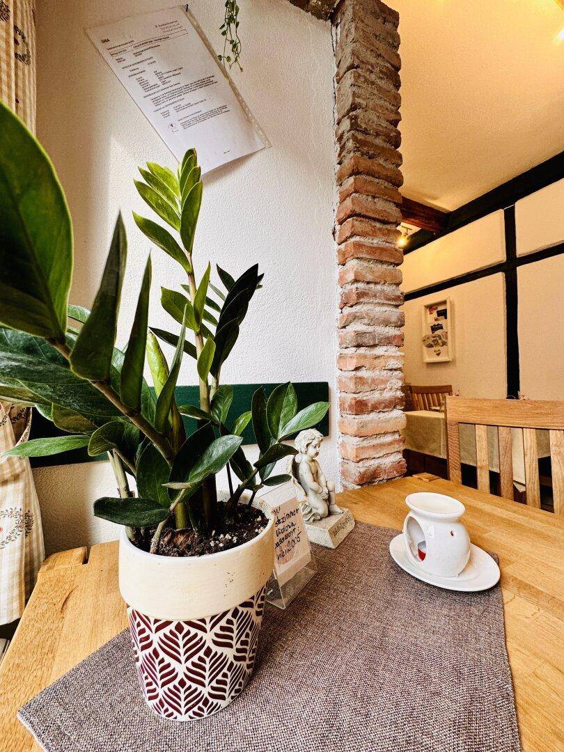 Lukratives Apartmenthaus im laufenden Kurzzeit- Mietbetrieb – další