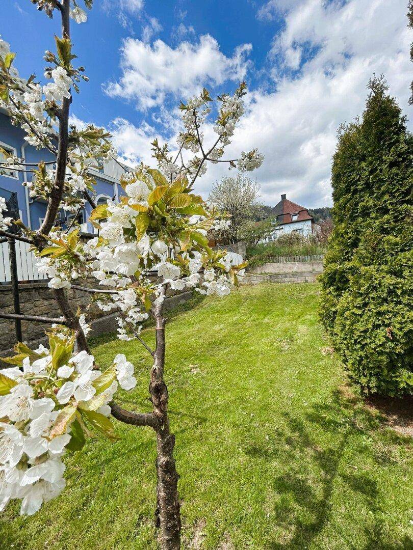 Charmantes Sanierungshaus mit traumhaftem Garten in Grünbach am Schneeberg - Mehr