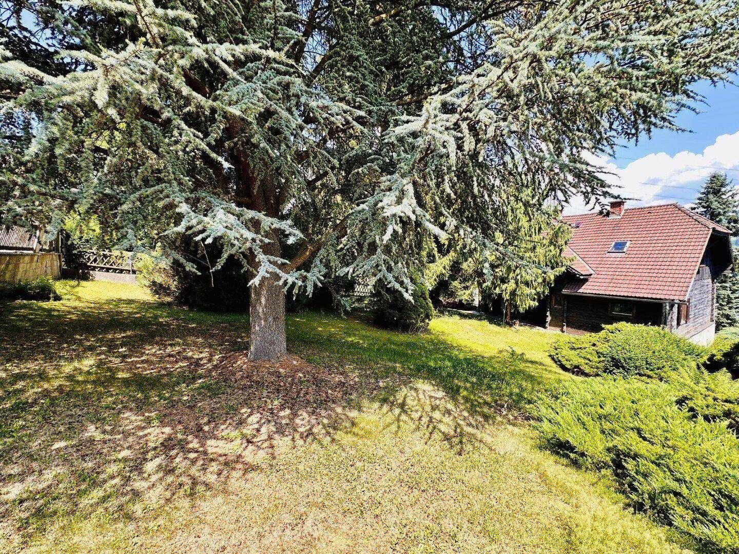 Weitläufiger Garten mit altem Baum und Blick auf das traditionelle Haus.