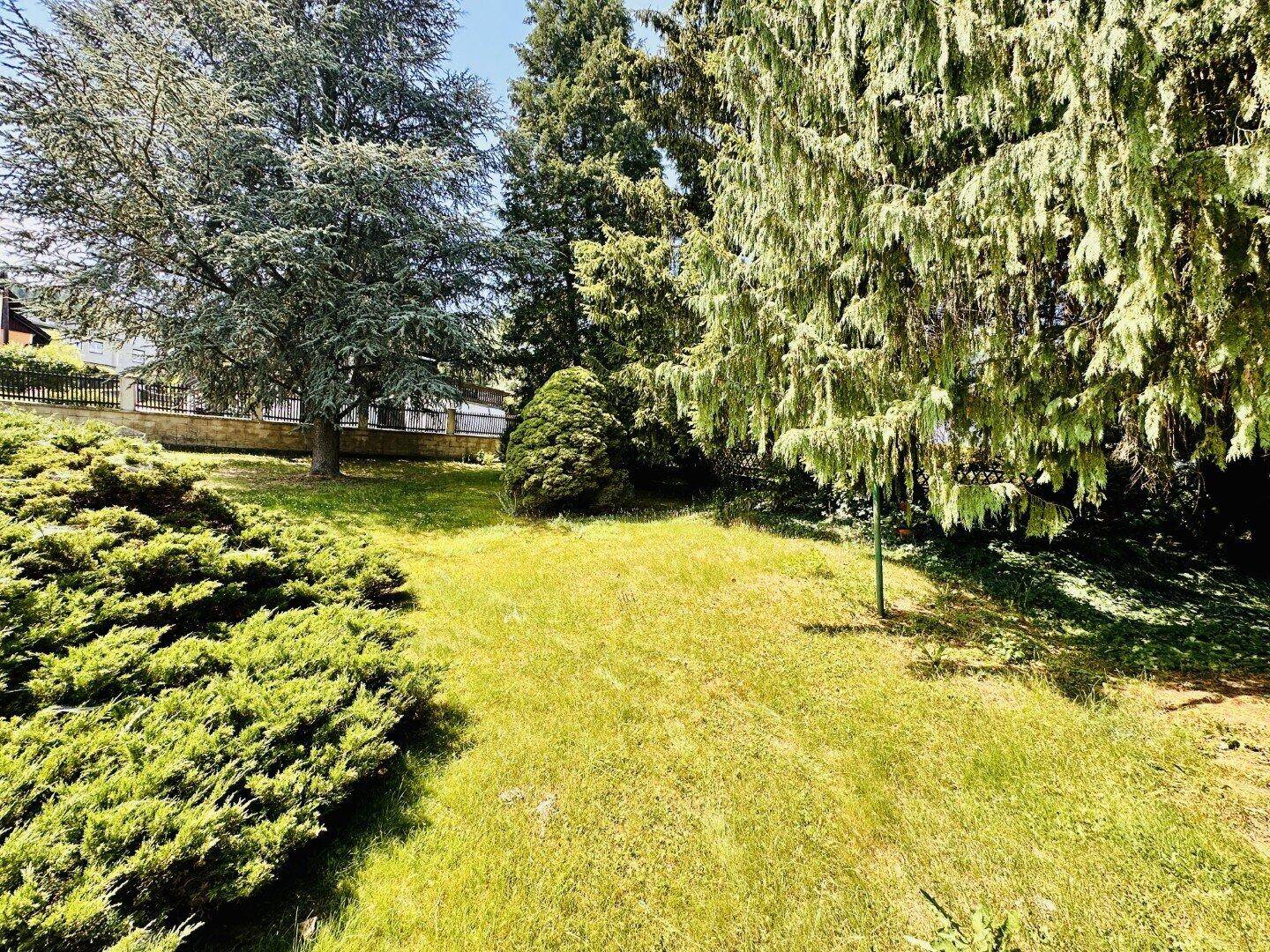 Großer, gepflegter Gartenbereich mit Rasenfläche und hohen Bäumen.