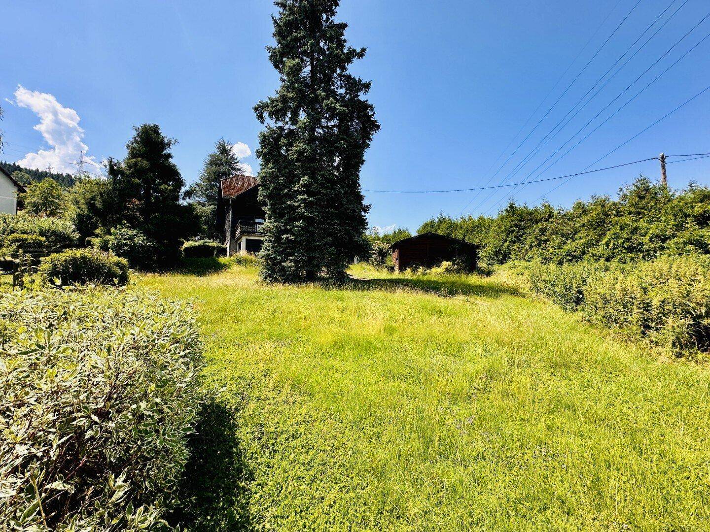 Weitläufiger Gartenbereich mit Rasenfläche und hohen Bäumen unter blauem Himmel.