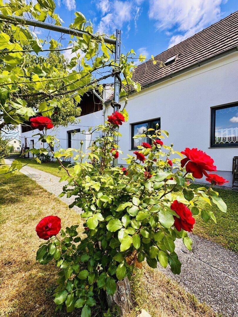 Einfamilienhaus mit ländlichem Flair und vielseitigem Potenzial in Wartmannstetten - Ansicht 4