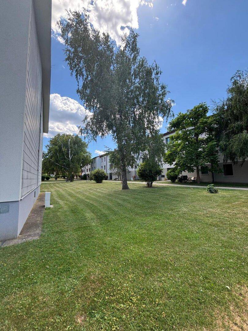 Gepflegte Rasenfläche mit Bäumen und Gebäuden im Hintergrund unter blauem Himmel.