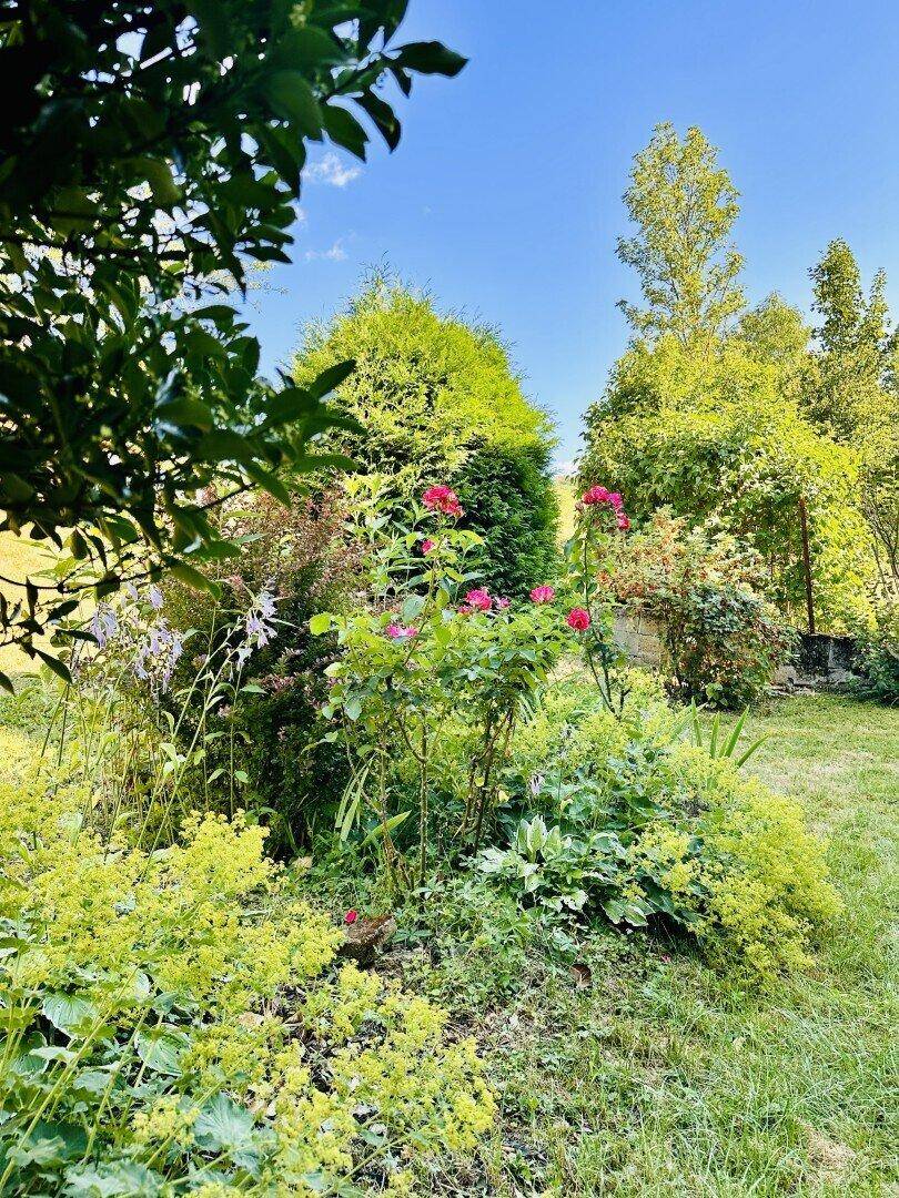 Üppiger Gartenbereich mit verschiedenen Pflanzen und blühenden Rosen unter blauem Himmel.
