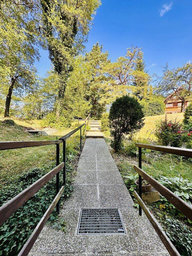 Steinweg mit Geländer führt durch den grünen Garten hinauf zum Haus.