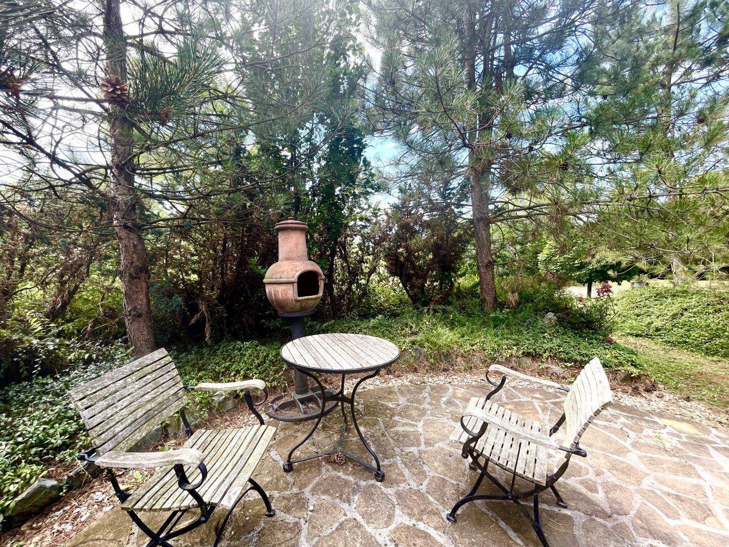 Sitzbereich im Garten mit Holztisch und Stühlen, umgeben von hohen Bäumen und einem Grillkamin.