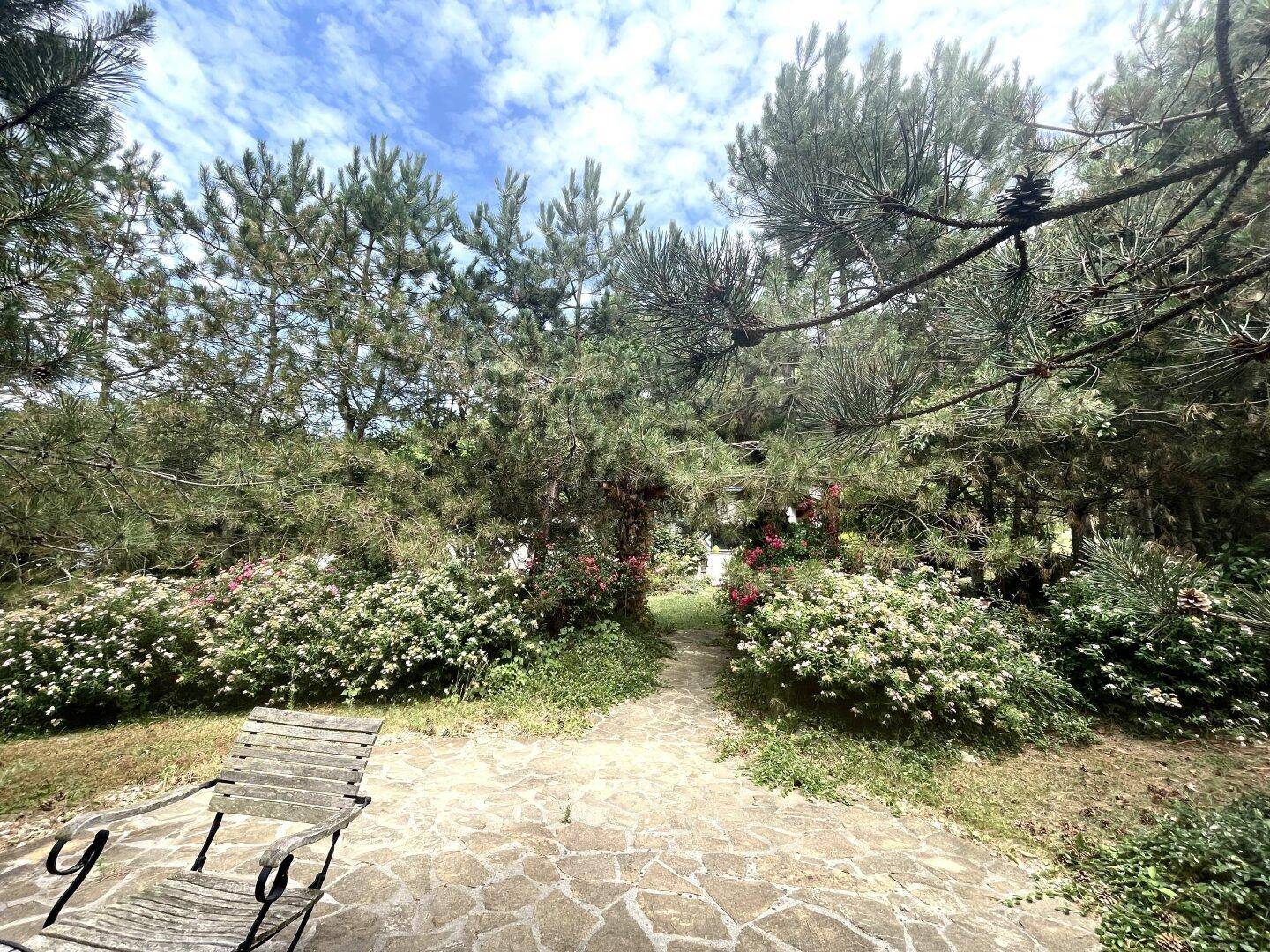 Steinplattenweg im Garten, umgeben von üppigem Grün und blühenden Sträuchern unter Bäumen.