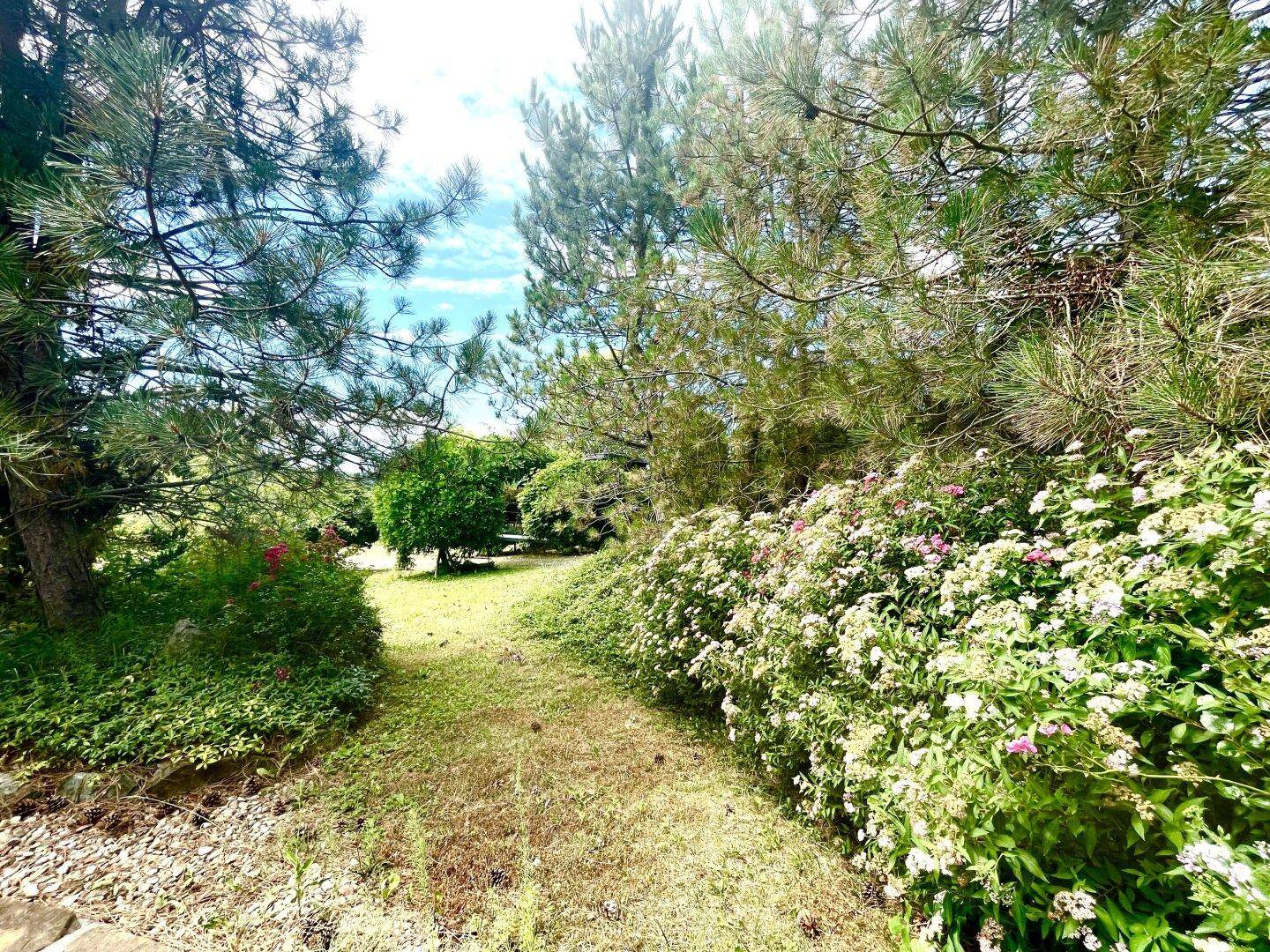 Gartenweg umgeben von blühenden Sträuchern und hohen Bäumen unter blauem Himmel.