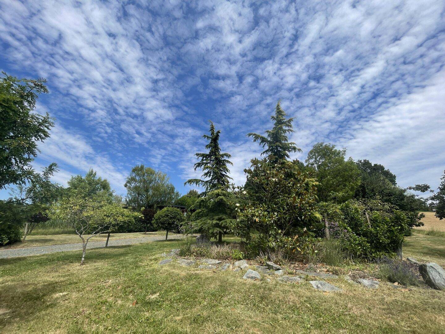 Weitläufiger Gartenbereich mit verschiedenen Bäumen und Sträuchern unter einem bewölkten Himmel.