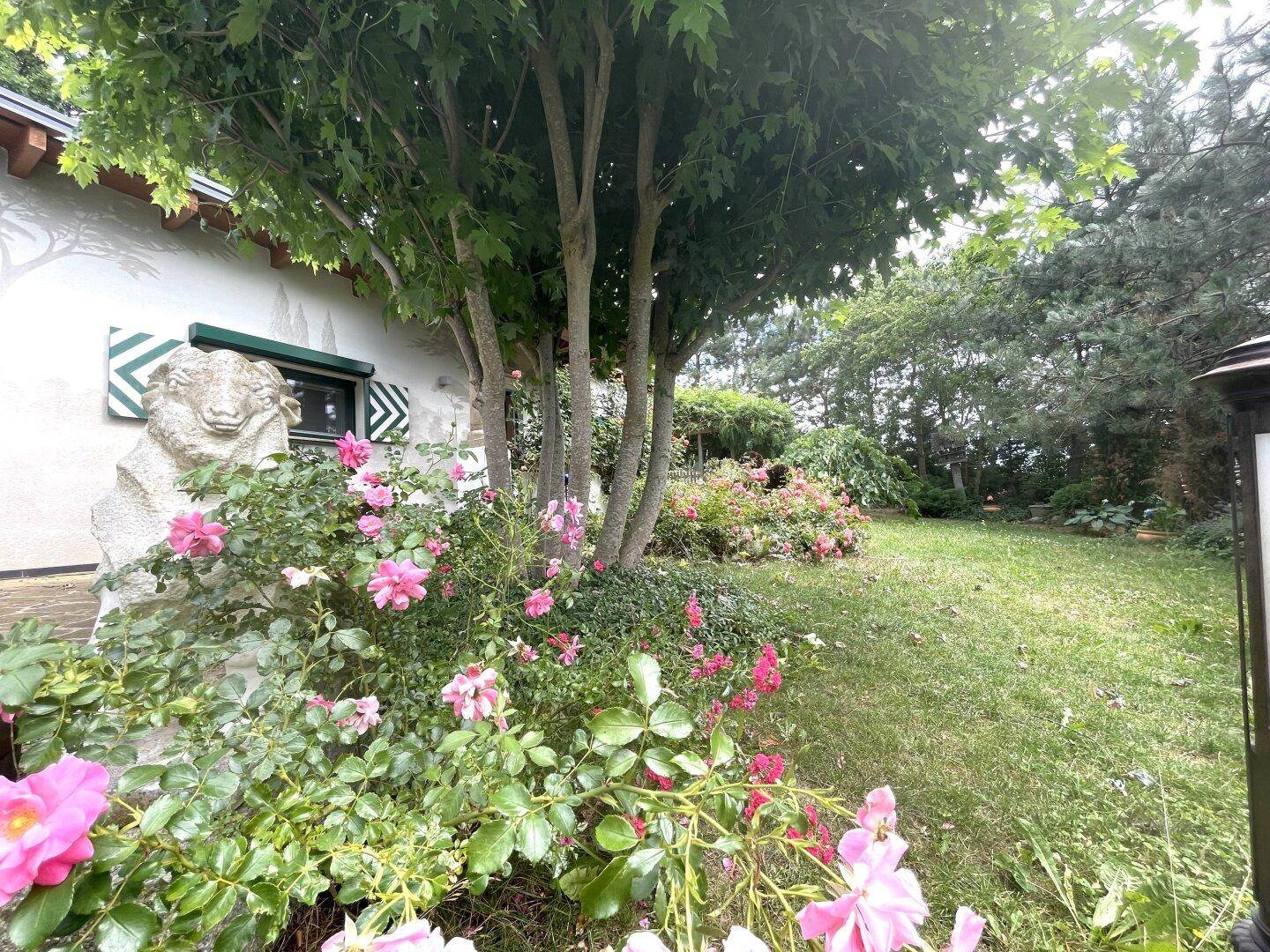 Blühender Rosengarten mit Bäumen und einer Steinfigur vor dem Haus.