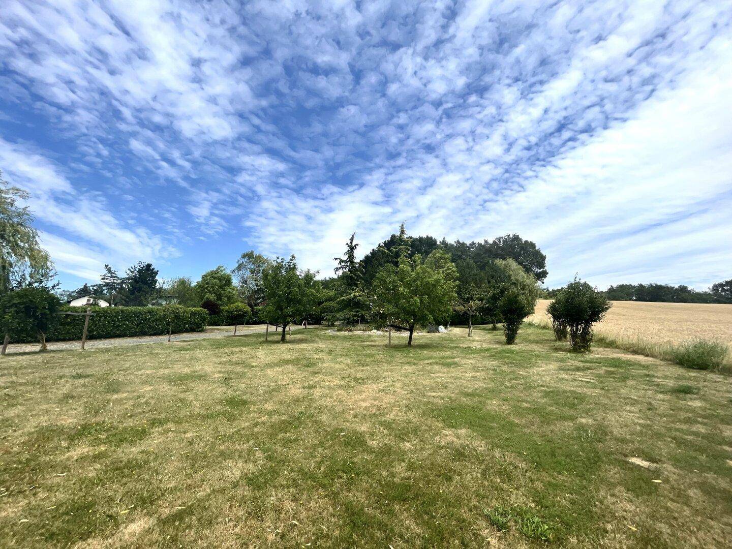 Großer Rasenbereich mit jungen Bäumen und Blick auf angrenzende Felder unter weitem Himmel.