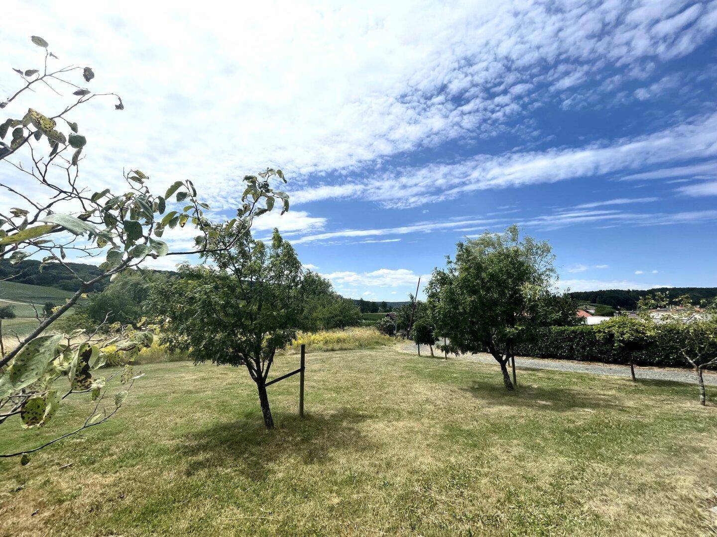 Weitläufiger Garten mit jungen Bäumen und Blick auf die hügelige Landschaft.