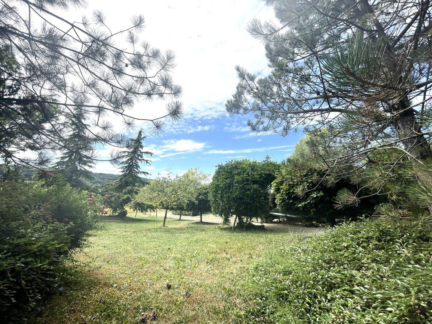 Großer Gartenbereich mit Bäumen und weitem Blick unter blauem Himmel.