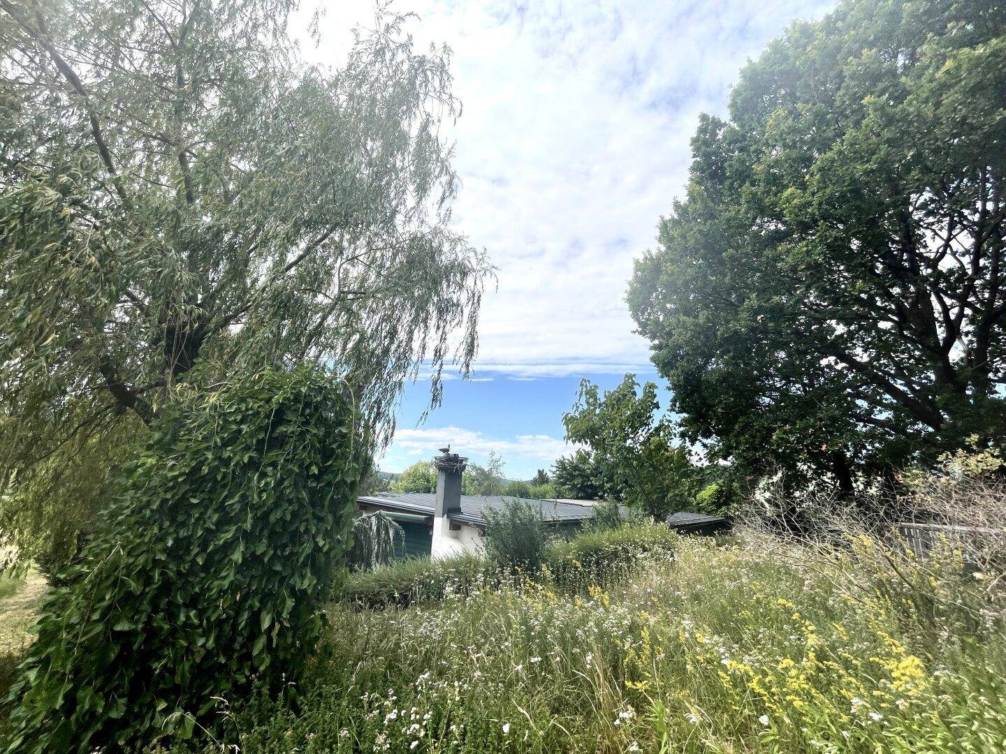 Blick auf ein Hausdach mit Schornstein, umgeben von üppiger Vegetation und weitem Horizont.