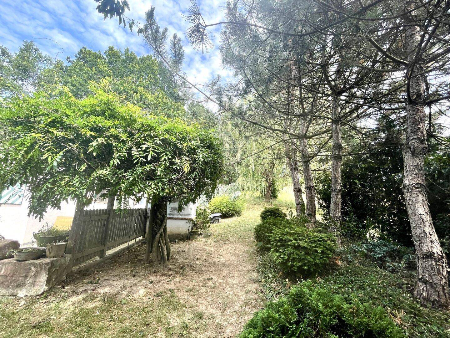 Gartenweg führt einen Hang hinauf, umgeben von Bäumen und Sträuchern.