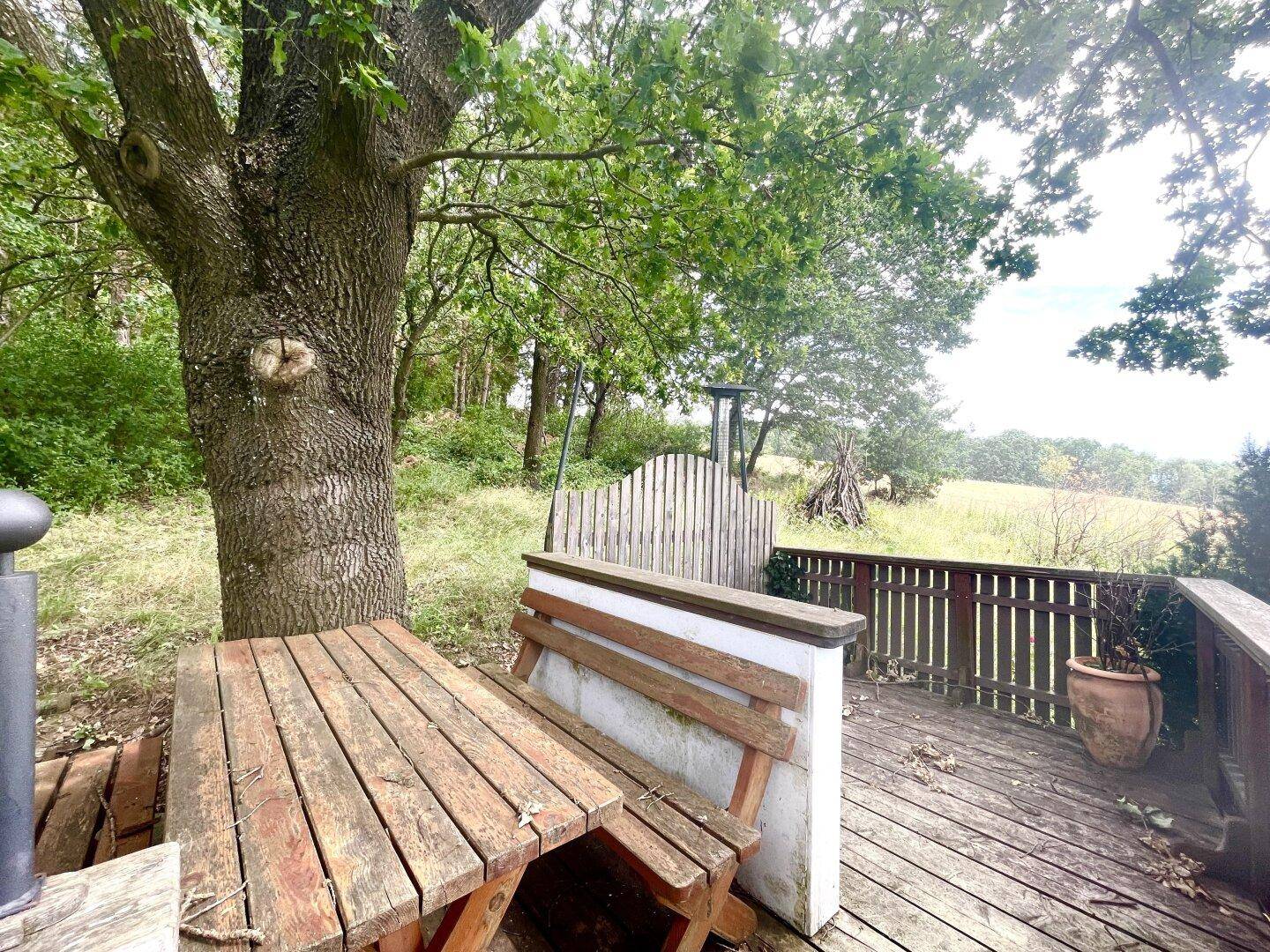 Rustikaler Holztisch mit Bänken auf einer Terrasse unter einem großen Baum.