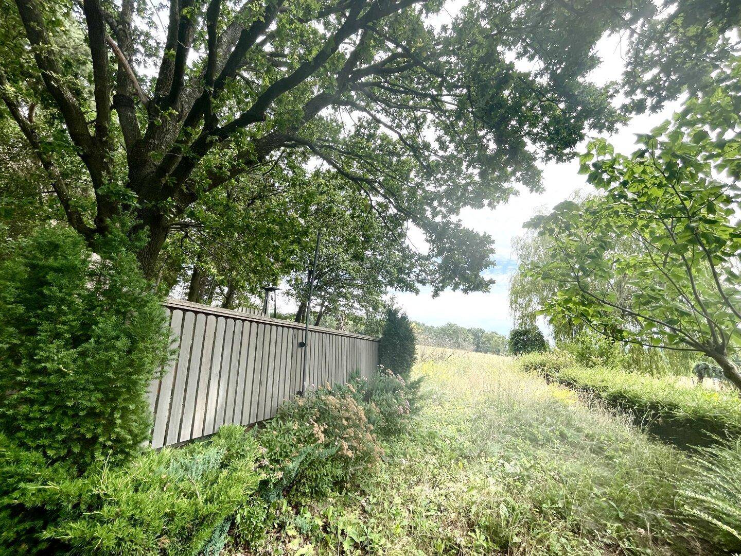 Grüner Gartenbereich mit Holzzaun und weitem Blick auf die Landschaft.