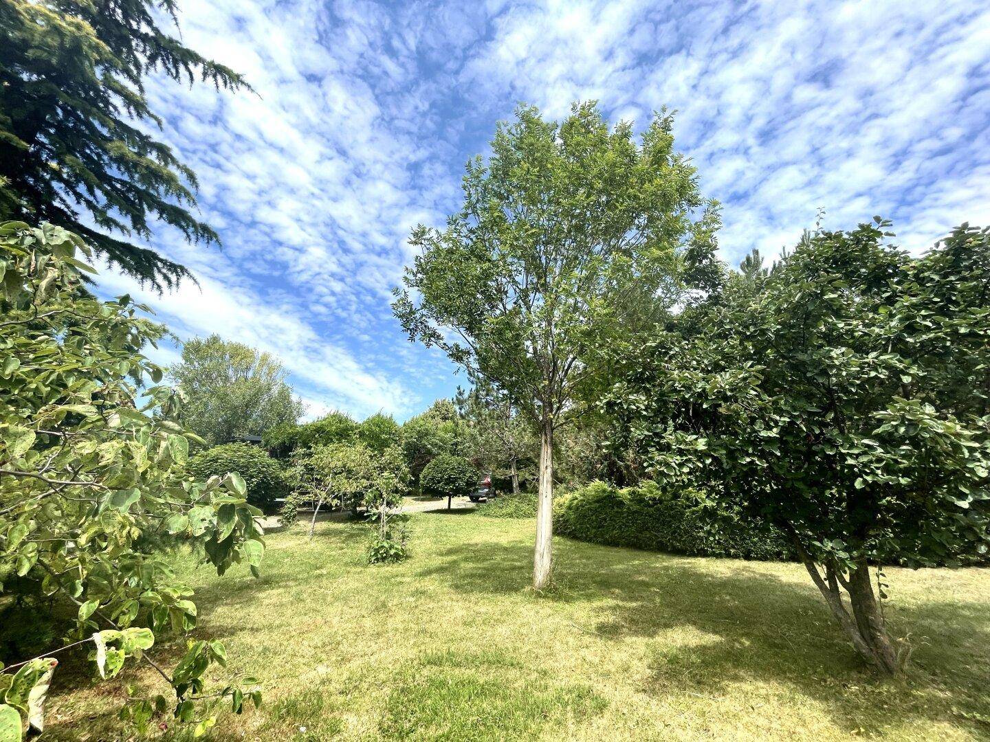 Gepflegter Rasenbereich mit verschiedenen Bäumen und Sträuchern unter blauem Himmel.