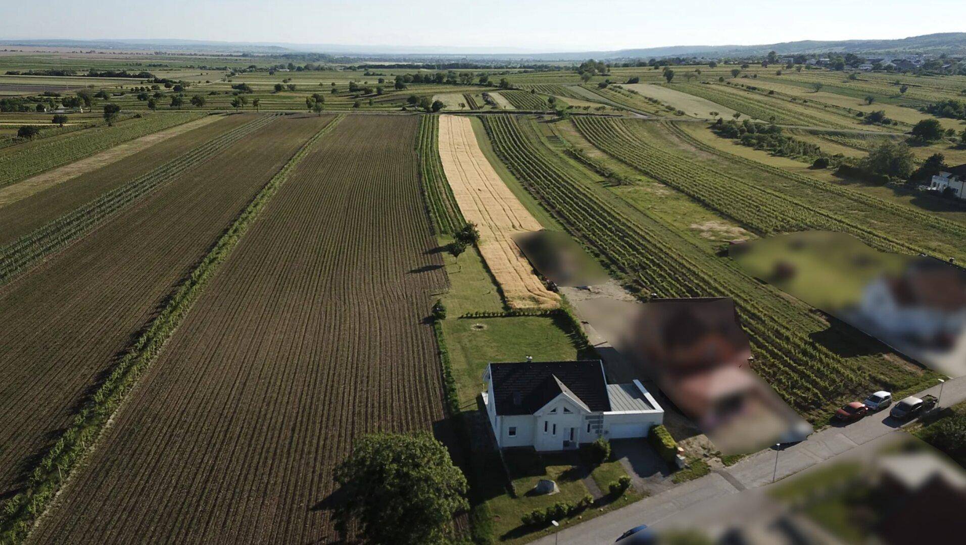 Weitläufige Luftaufnahme des Anwesens, umgeben von Feldern und Weinbergen.