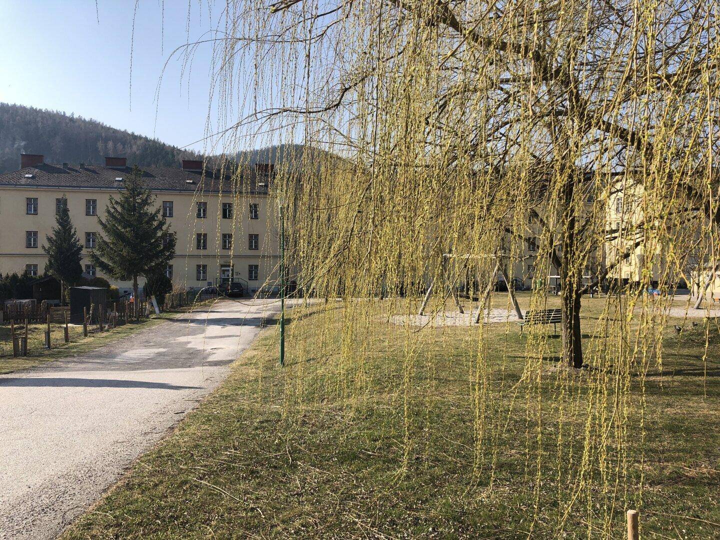 Grüne Außenanlage mit Bäumen, Rasenfläche und einem Spielplatz im Hintergrund.