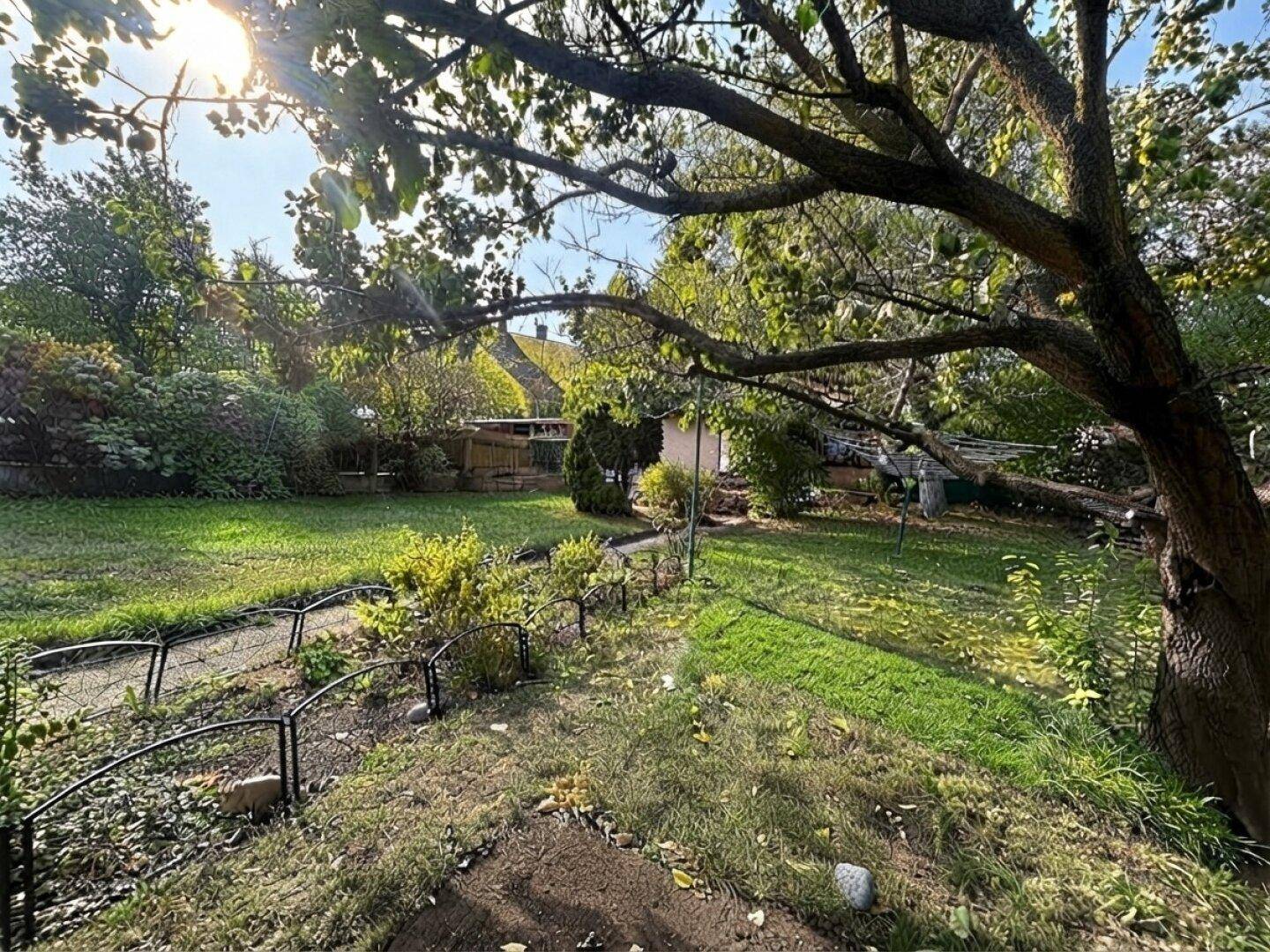Weitläufiger Garten mit Rasenfläche, Bäumen und einem geschwungenen Weg im Sonnenlicht.