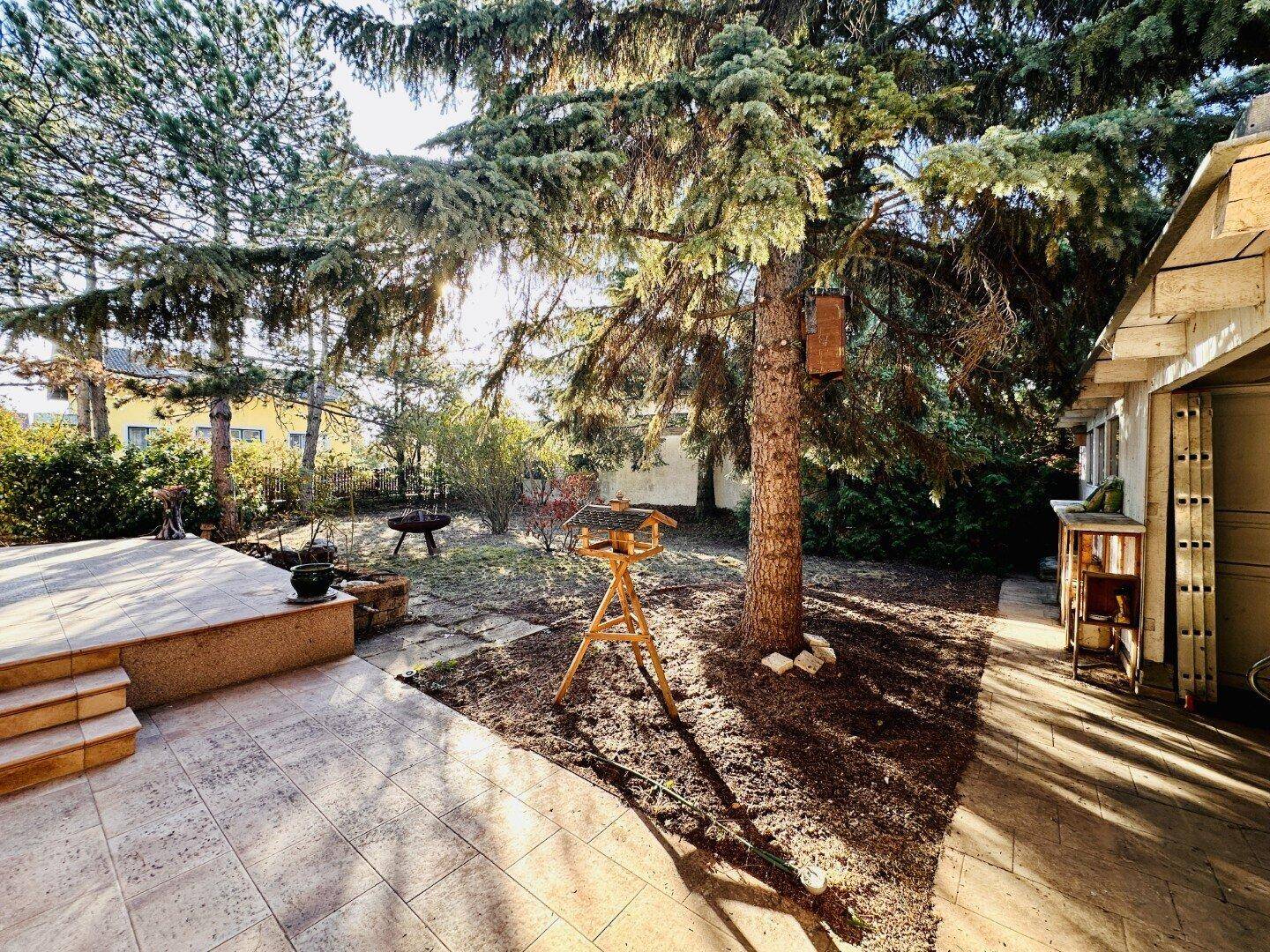 Gartenansicht mit großer Terrasse, alten Bäumen und Vogelhäuschen.