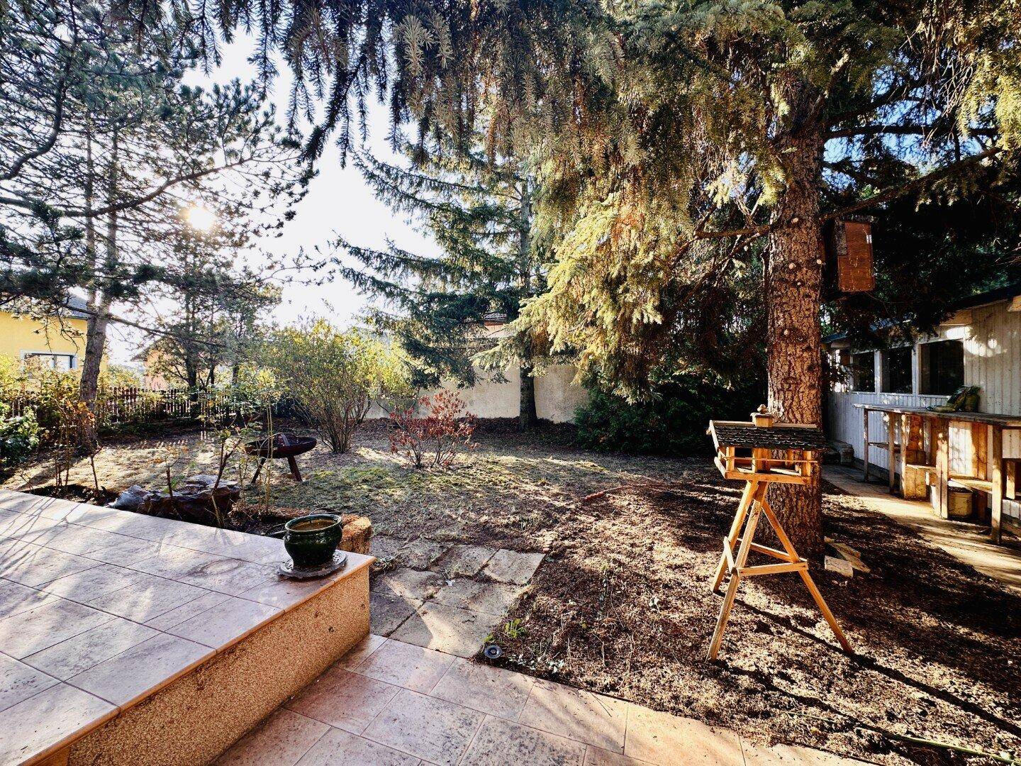 Sonniger Garten mit Terrasse, hohen Bäumen und Vogelhäuschen.