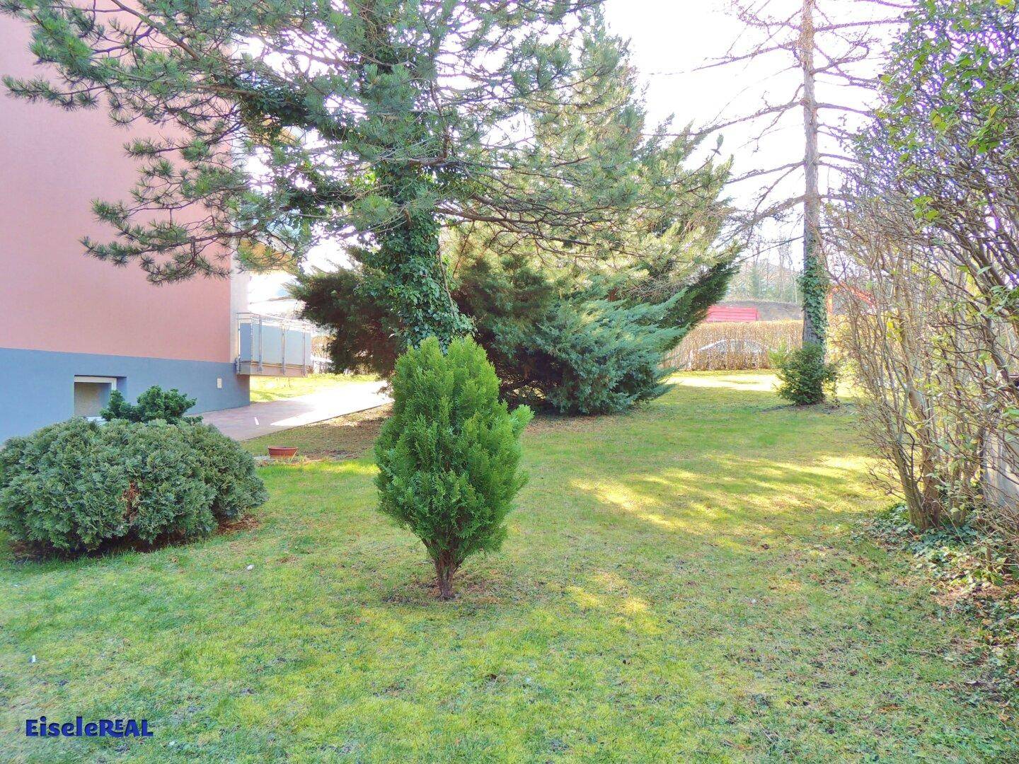 Gepflegter Gartenbereich mit Rasen, verschiedenen Bäumen und Sträuchern neben dem Gebäude.