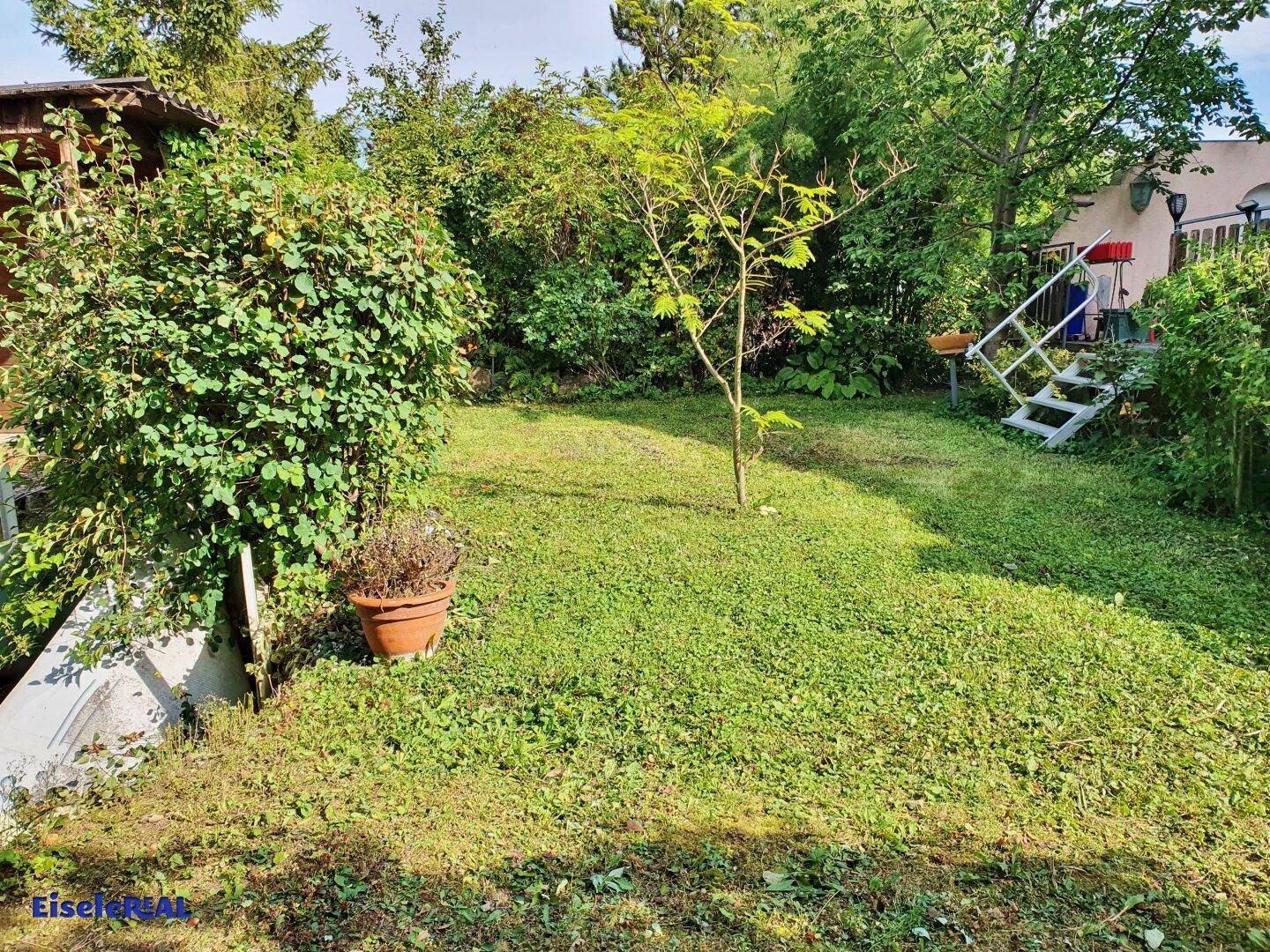Weitläufiger Garten mit Rasenfläche, jungen Bäumen und viel Grün, ideal zum Entspannen.