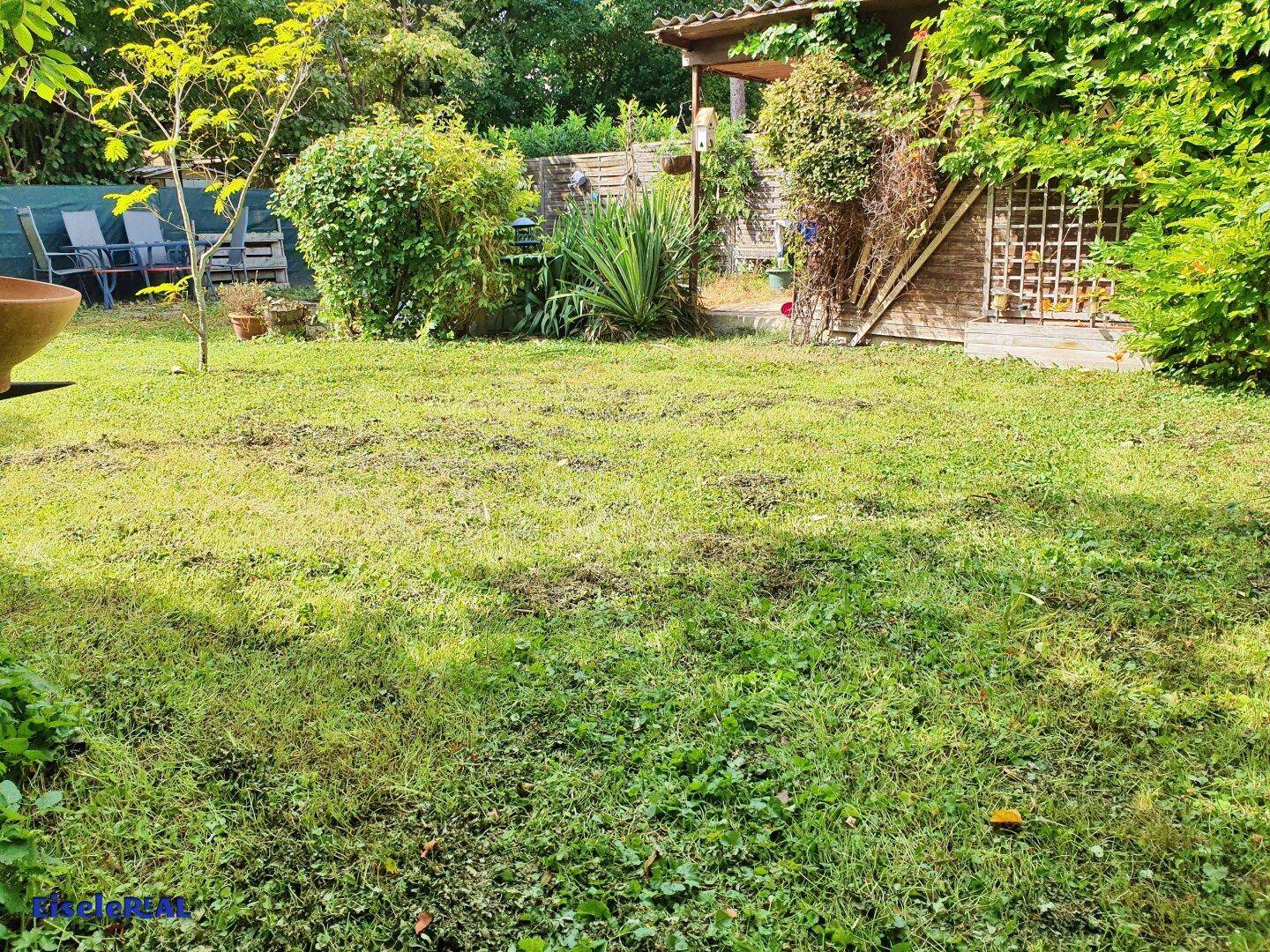 Sonniger Gartenbereich mit Rasen und dichter Bepflanzung, im Hintergrund eine Holzkonstruktion.