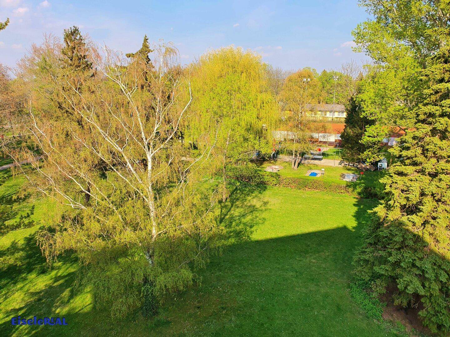 Weitläufige Grünfläche mit hohen Bäumen und einem Spielplatz im Hintergrund unter blauem Himmel.