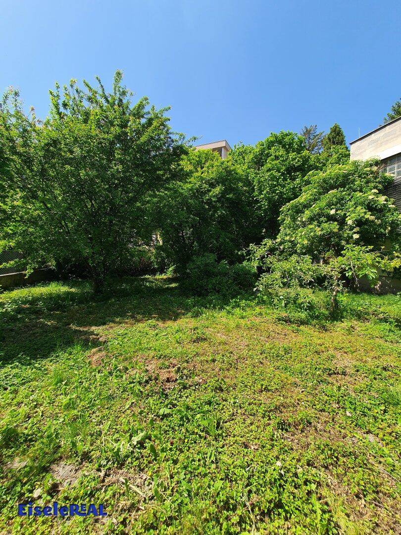 Üppiger Gartenbereich mit vielen Bäumen und Sträuchern hinter dem Gebäude.