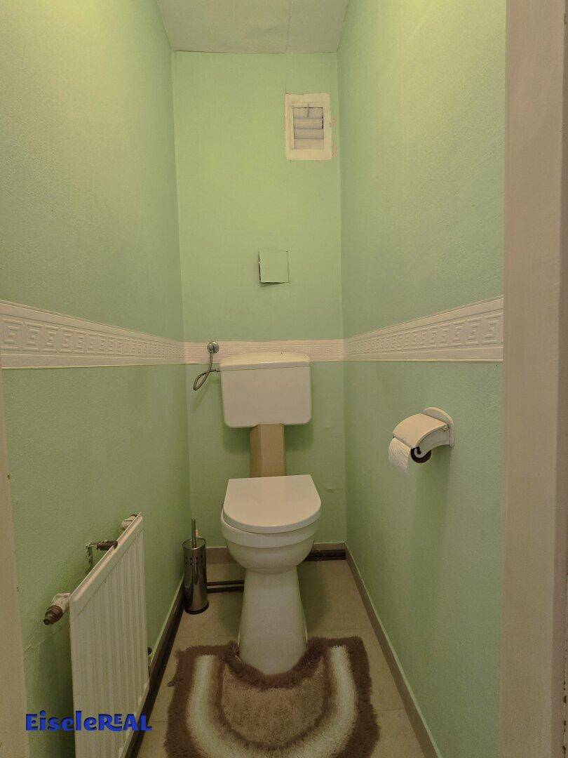 Kleines WC mit grünen Wänden, Toilette und Heizkörper.