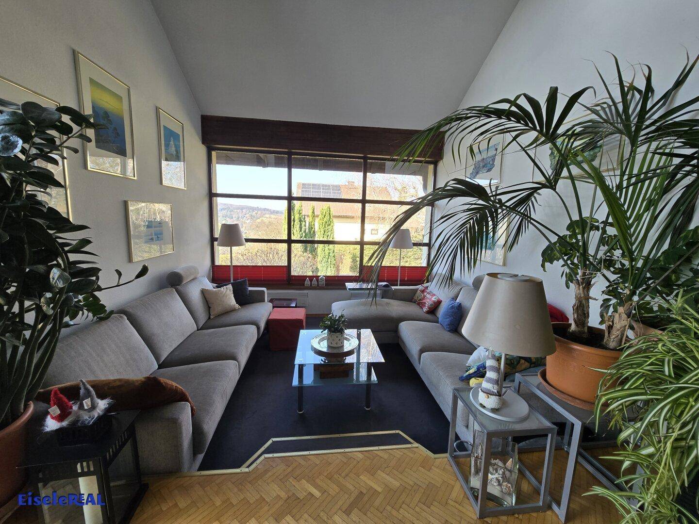 Gemütliches Wohnzimmer mit großen Fenstern, bequemen Sofas und vielen Pflanzen.