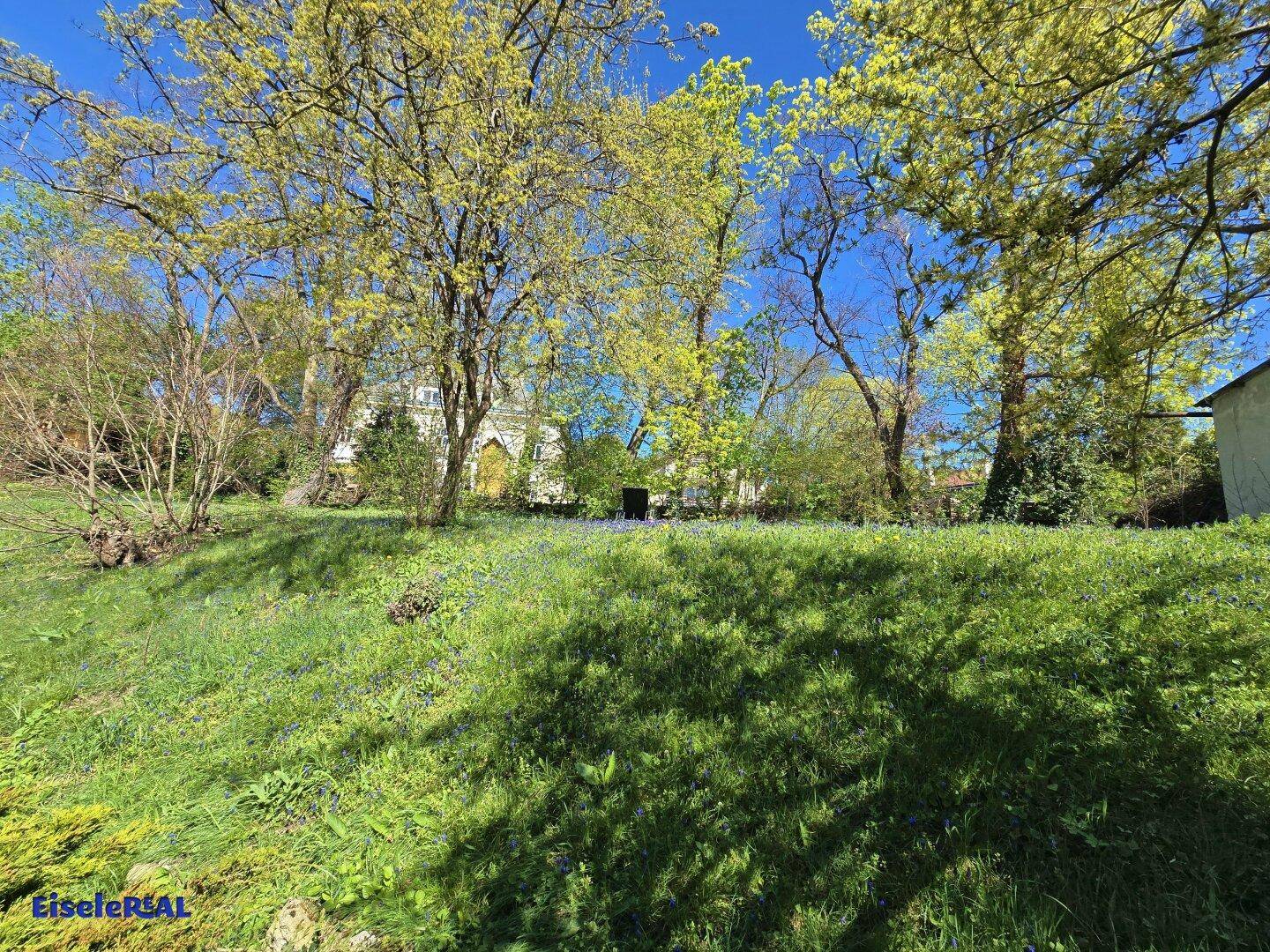Weitläufige Grünfläche mit Bäumen und blühenden Pflanzen unter blauem Himmel.