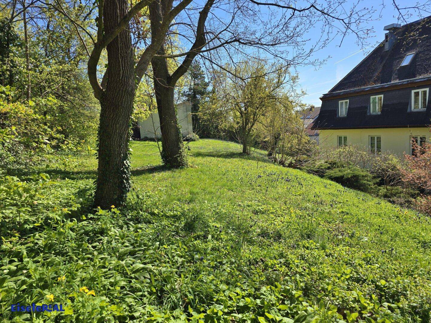 Grüne Hanglage mit Bäumen und Blick auf das historische Gebäude im Hintergrund.