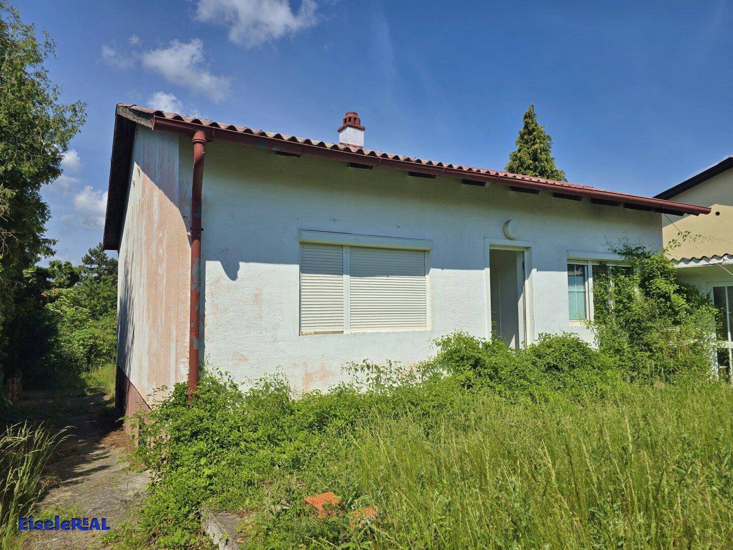 Rückseite des Hauses mit Rollläden und überwuchertem Gartenbereich.