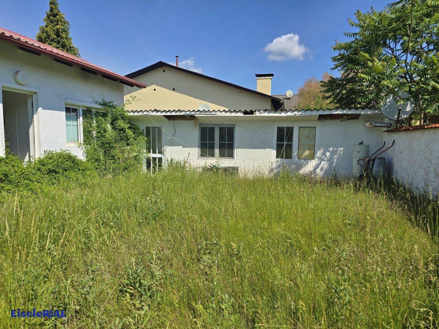 Großer, verwilderter Gartenbereich hinter dem Haus mit viel Grün und Bäumen.