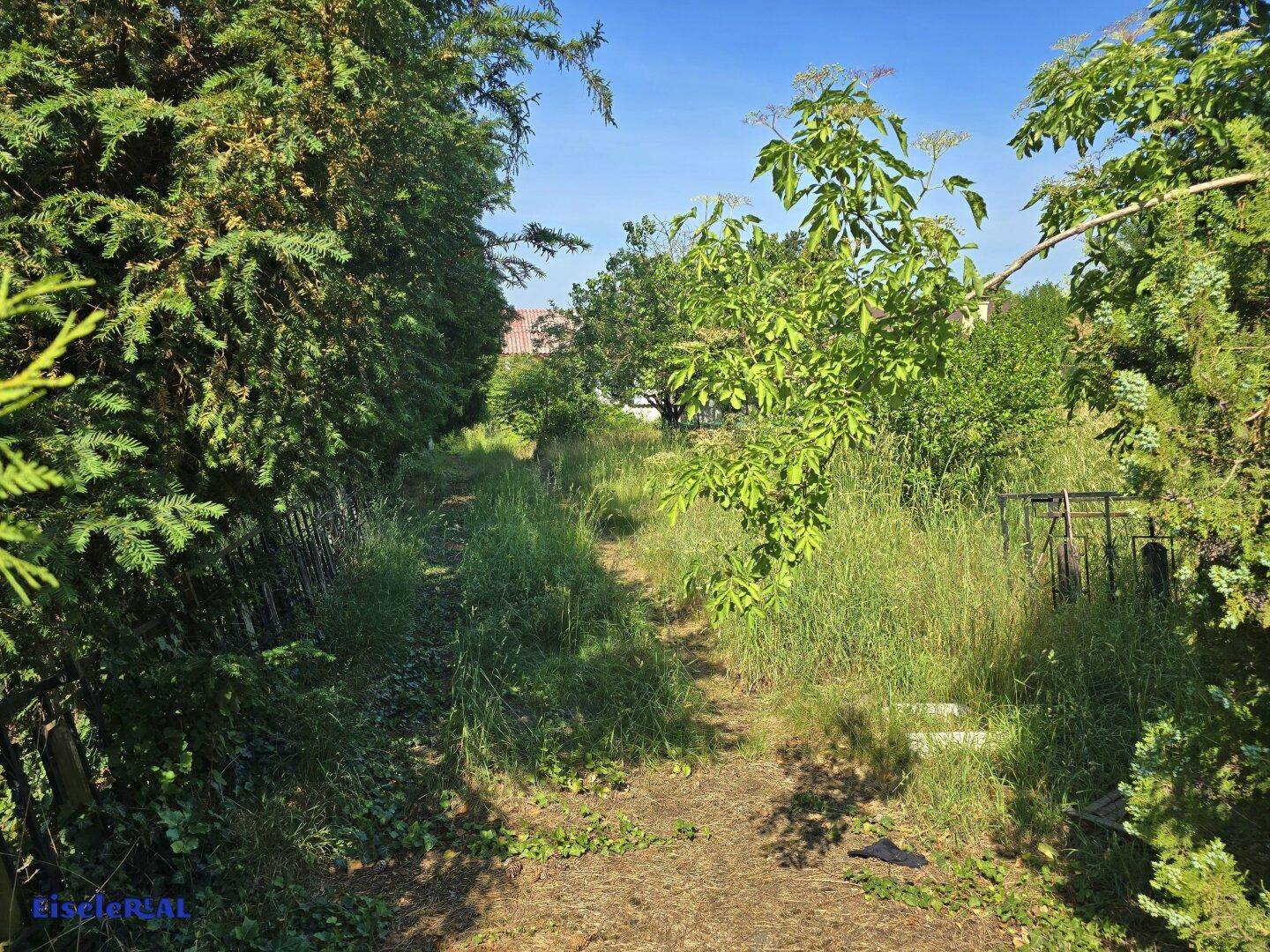 Pfad durch den üppig bewachsenen Garten mit hohen Bäumen und Sträuchern.