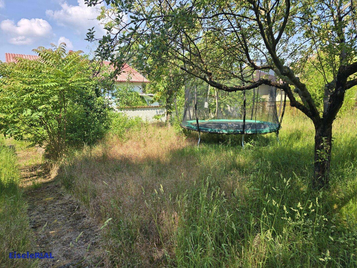 Trampolin im Garten unter einem Baum, umgeben von hohem Gras und Grün.