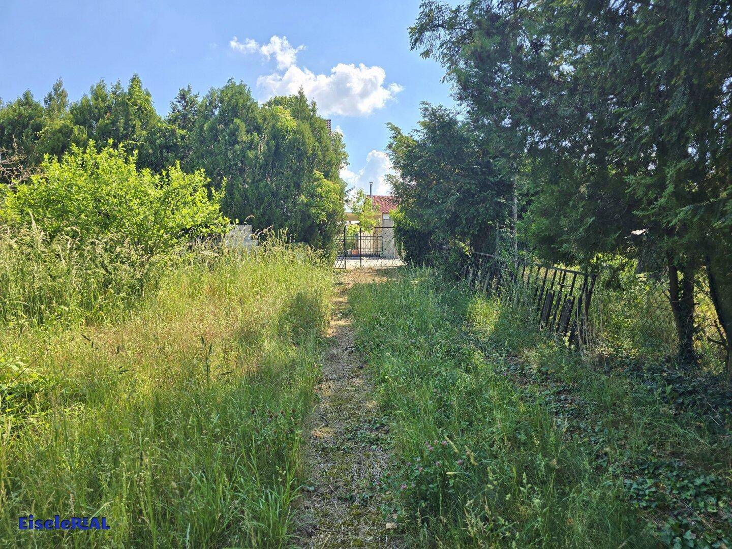 Langer Gartenweg, der zu einem Tor führt, umgeben von üppigem Grün.