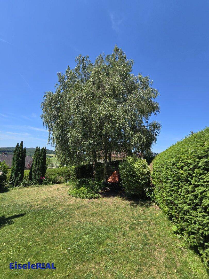 Großer Laubbaum im Zentrum eines gepflegten Gartens mit Hecken und weitem Blick.